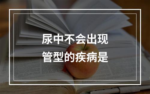 尿中不会出现管型的疾病是