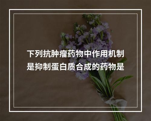 下列抗肿瘤药物中作用机制是抑制蛋白质合成的药物是