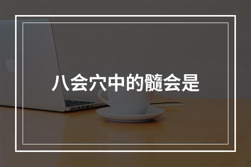 八会穴中的髓会是