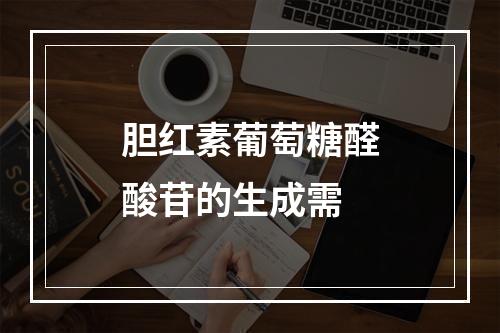 胆红素葡萄糖醛酸苷的生成需