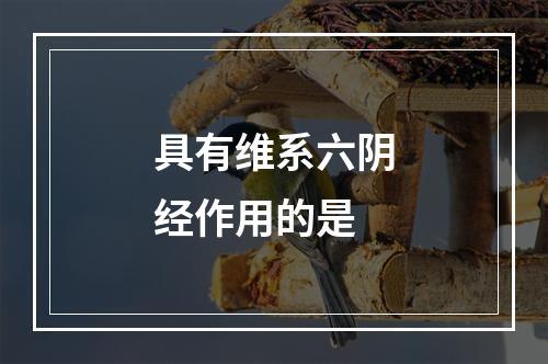 具有维系六阴经作用的是