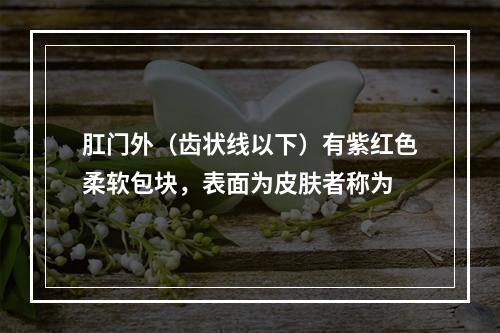 肛门外（齿状线以下）有紫红色柔软包块，表面为皮肤者称为