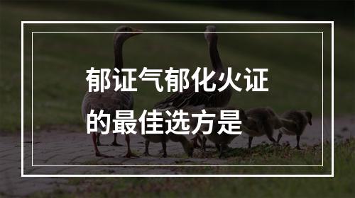 郁证气郁化火证的最佳选方是