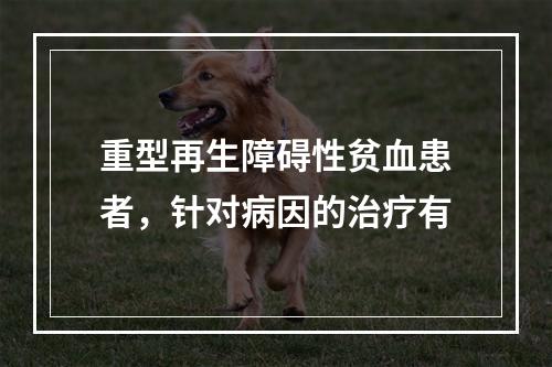 重型再生障碍性贫血患者，针对病因的治疗有