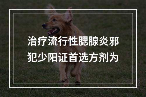 治疗流行性腮腺炎邪犯少阳证首选方剂为