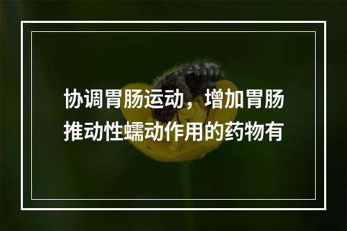 协调胃肠运动，增加胃肠推动性蠕动作用的药物有