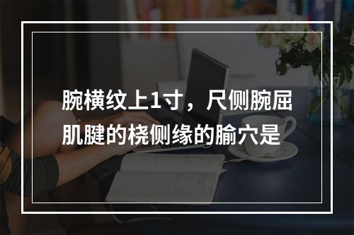 腕横纹上1寸，尺侧腕屈肌腱的桡侧缘的腧穴是