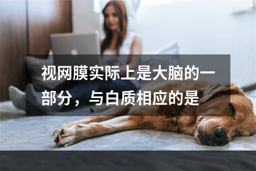 视网膜实际上是大脑的一部分，与白质相应的是