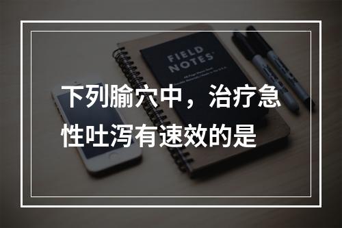 下列腧穴中，治疗急性吐泻有速效的是