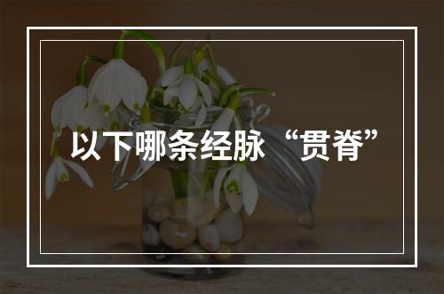 以下哪条经脉“贯脊”