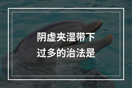 阴虚夹湿带下过多的治法是