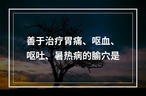 善于治疗胃痛、呕血、呕吐、暑热病的腧穴是