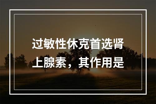 过敏性休克首选肾上腺素，其作用是