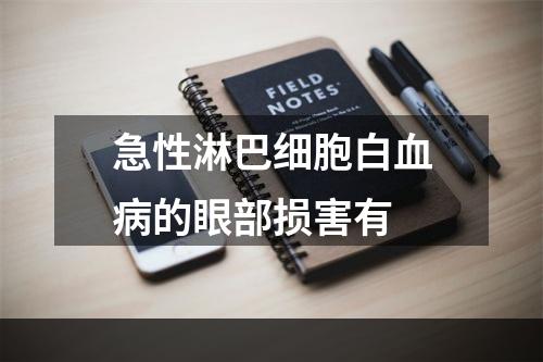 急性淋巴细胞白血病的眼部损害有