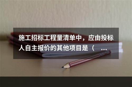 施工招标工程量清单中，应由投标人自主报价的其他项目是（　）。