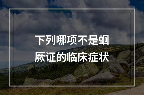 下列哪项不是蛔厥证的临床症状