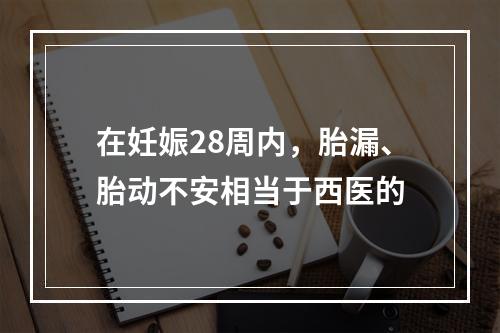 在妊娠28周内，胎漏、胎动不安相当于西医的