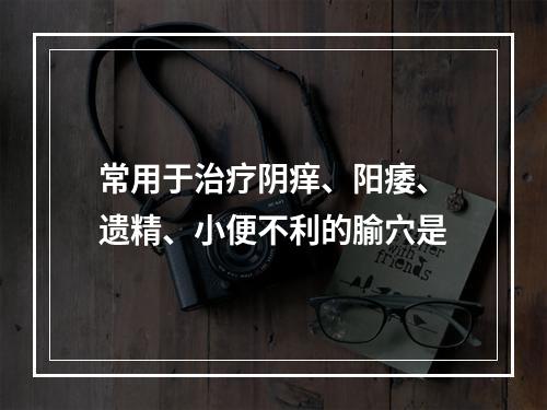 常用于治疗阴痒、阳痿、遗精、小便不利的腧穴是