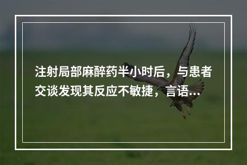 注射局部麻醉药半小时后，与患者交谈发现其反应不敏捷，言语含糊