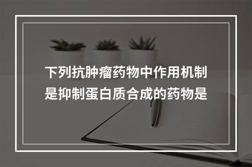 下列抗肿瘤药物中作用机制是抑制蛋白质合成的药物是