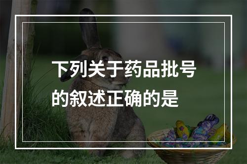 下列关于药品批号的叙述正确的是