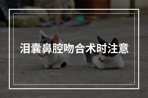 泪囊鼻腔吻合术时注意