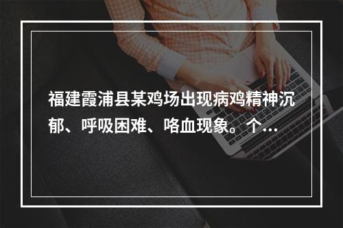 福建霞浦县某鸡场出现病鸡精神沉郁、呼吸困难、咯血现象。个别