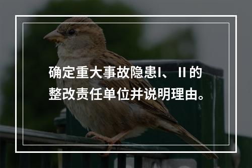 确定重大事故隐患I、Ⅱ的整改责任单位并说明理由。