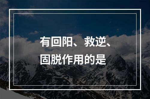 有回阳、救逆、固脱作用的是