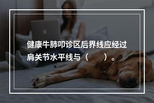 健康牛肺叩诊区后界线应经过肩关节水平线与（　　）。