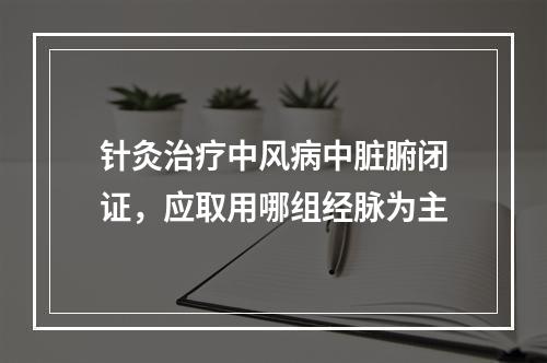 针灸治疗中风病中脏腑闭证，应取用哪组经脉为主