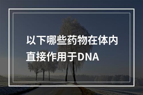 以下哪些药物在体内直接作用于DNA