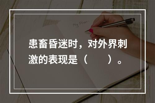 患畜昏迷时，对外界刺激的表现是（　　）。