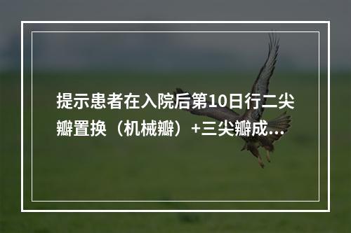 提示患者在入院后第10日行二尖瓣置换（机械瓣）+三尖瓣成形术