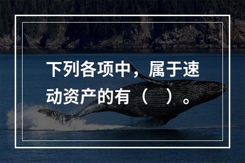 下列各项中，属于速动资产的有（　）。