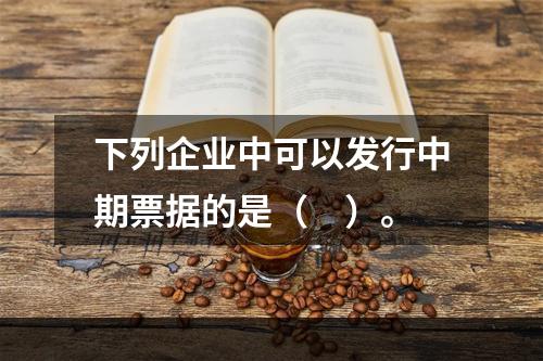 下列企业中可以发行中期票据的是（　）。