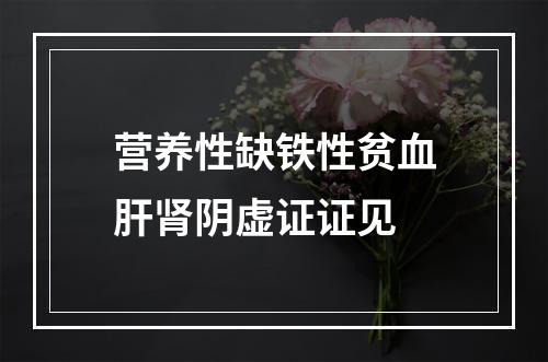 营养性缺铁性贫血肝肾阴虚证证见