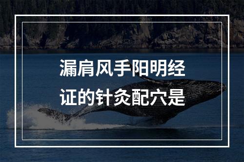 漏肩风手阳明经证的针灸配穴是