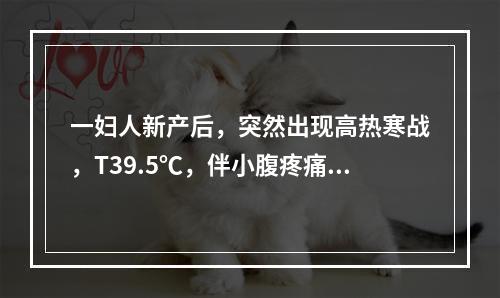 一妇人新产后，突然出现高热寒战，T39.5℃，伴小腹疼痛，拒