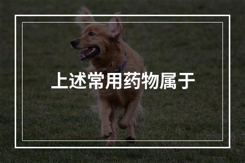 上述常用药物属于