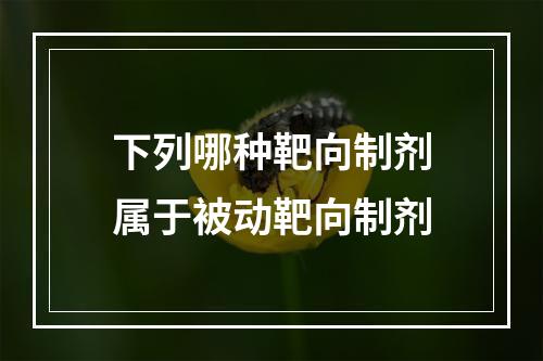 下列哪种靶向制剂属于被动靶向制剂