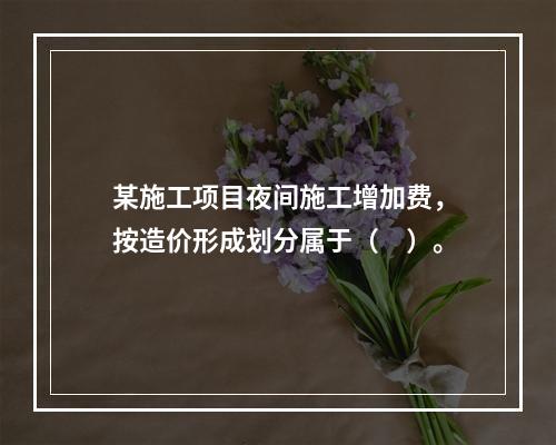 某施工项目夜间施工增加费，按造价形成划分属于（　）。