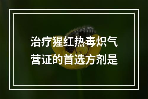 治疗猩红热毒炽气营证的首选方剂是