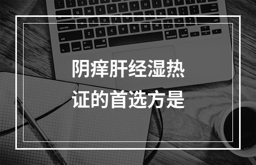 阴痒肝经湿热证的首选方是