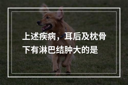 上述疾病，耳后及枕骨下有淋巴结肿大的是