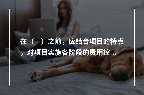 在（　）之前，应结合项目的特点，对项目实施各阶段的费用控制、