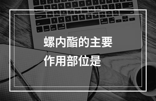 螺内酯的主要作用部位是