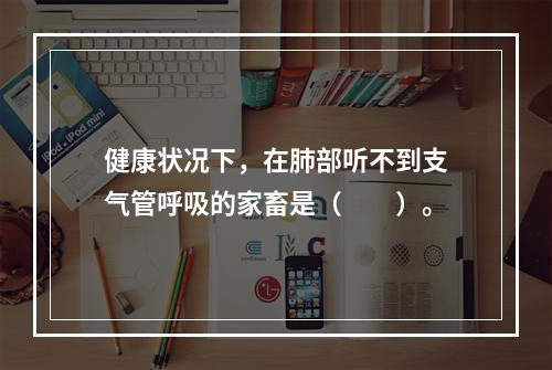 健康状况下，在肺部听不到支气管呼吸的家畜是（　　）。