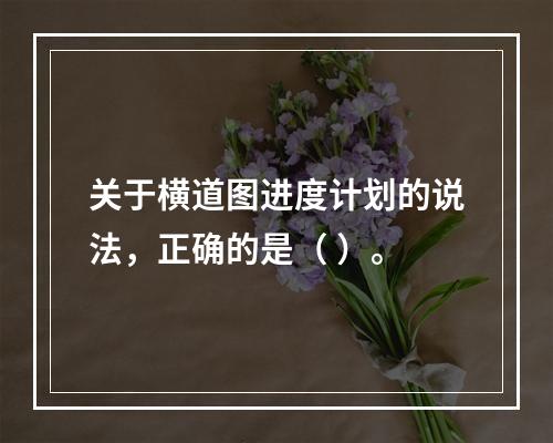 关于横道图进度计划的说法，正确的是（ ）。