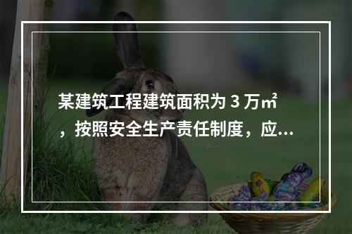 某建筑工程建筑面积为 3 万㎡，按照安全生产责任制度，应配备